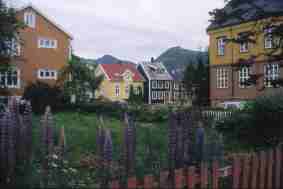 ph_09_solvaer.jpg (4044 octets)