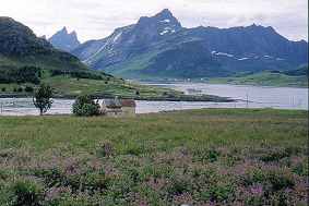 ph_16_ramberg.jpg (8106 octets)